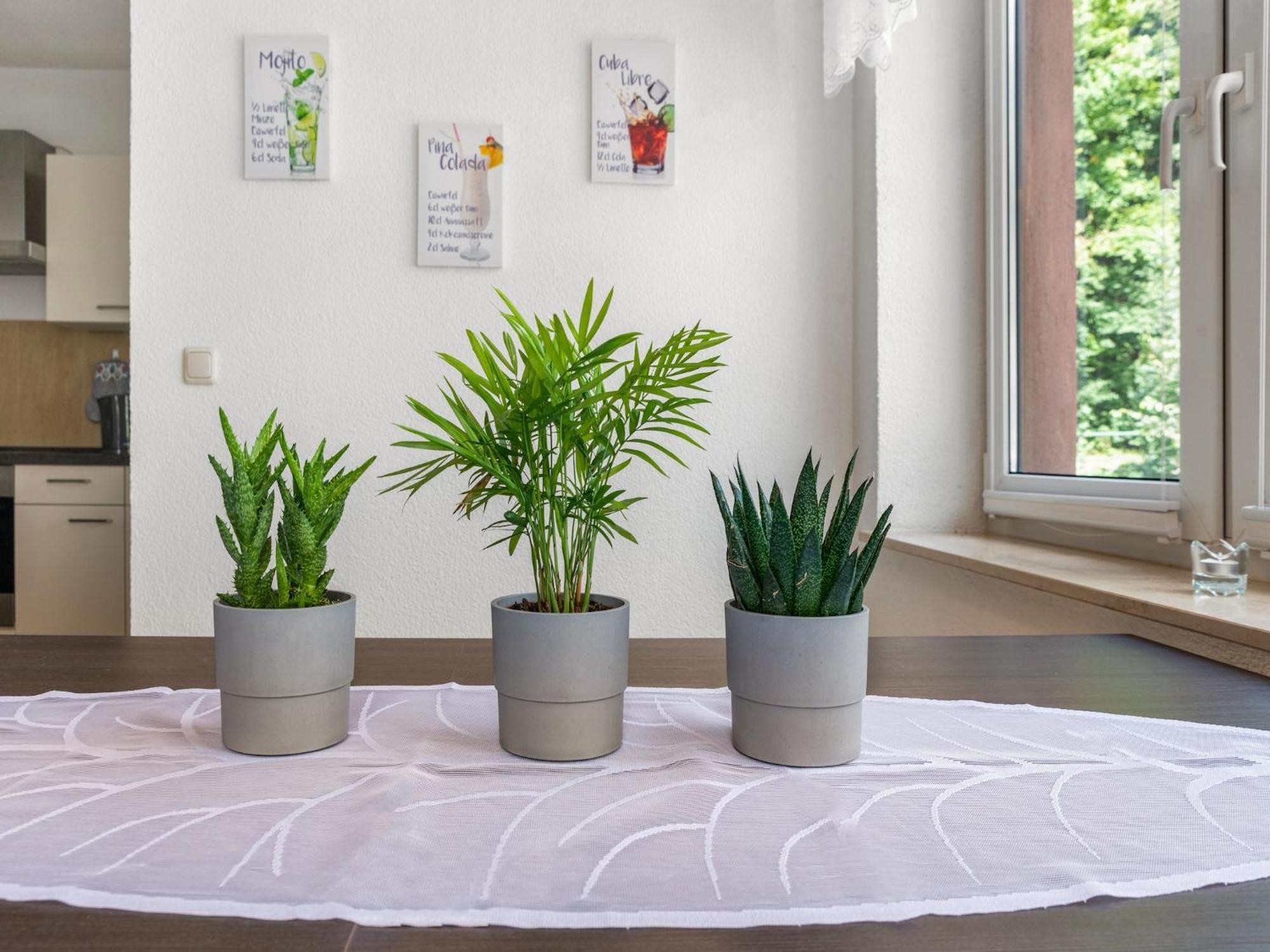 Modern Apartment In Sebnitz With A Terrace In زبنيتس المظهر الخارجي الصورة